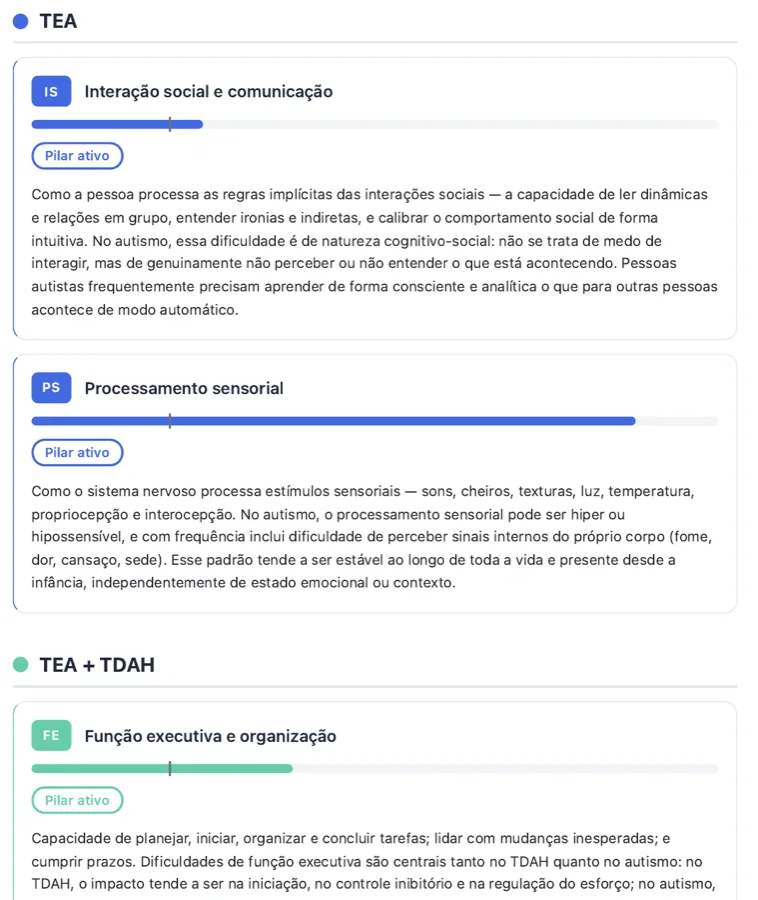 Página do relatório mostrando os pilares Interação social e comunicação, Processamento sensorial e Função executiva, cada um com barra de intensidade e um texto explicando o que o pilar mede.